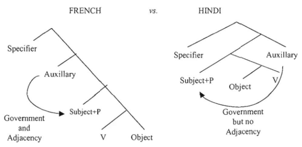 Figure 1  'P' in  the French  vs.  the Hindi clause 