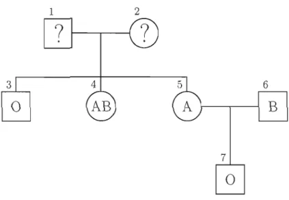 Figure  1.4  Exemple  d'un  arbre  généalogique  pour  le  gène  du  groupe  sanguin.  Une  femme  est  représentée  par un cercle et  un  homme par  un carré