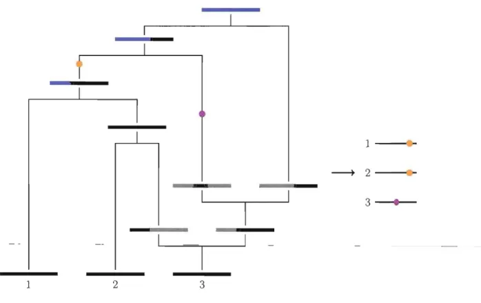 Figure  2.11  Simulation d'une généalogie  à  l'aide  de  l'ARG.  Les  portions  de  séquences  grises  représentent  le  matériel génétique  non  ancestral