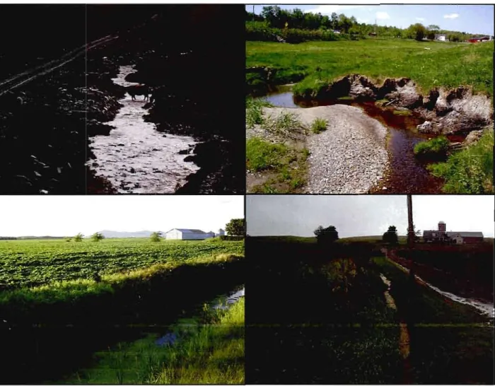 Figure 1.3  Exemples  du  manque  d'aménagement  riverain  en  bordure  des  petits  cours  d'eau  et  des  fossés  de  drainage