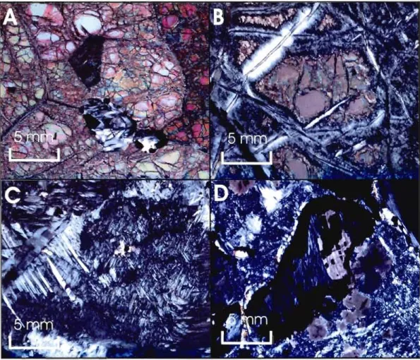 Figure  2.8  :  Photographies  de  minéraux  composant  les  harzburgites  serpentinisées  de  la  mine  Lac  d'Amiante  prises  au  microscope  optique  en  lumière  transmise  polarisée  et  analysée