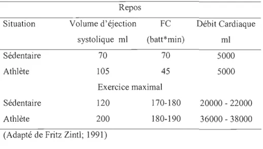 Tableau  2.1.  Valeurs  du  débit  cardiaque  au  repos  et  à  l'exercice  chez  des  individus sédentaires et chez des athlètes