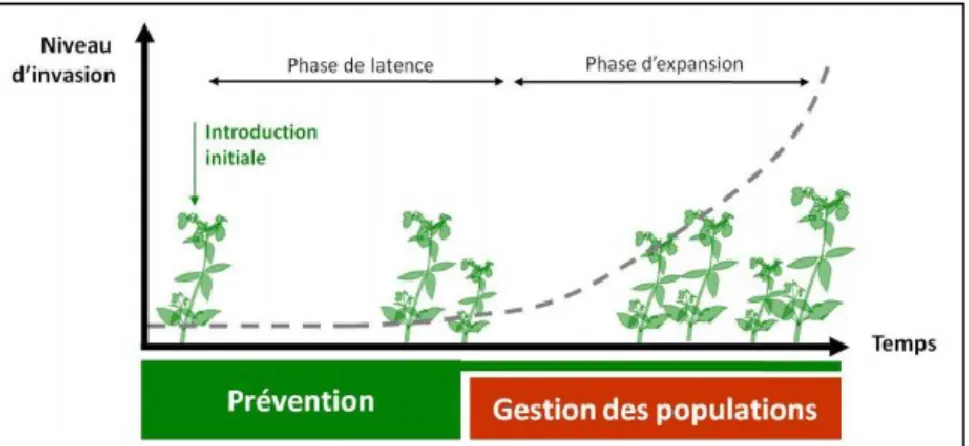 Figure 3.1 Méthodes de lutte contre les PEE en fonction des phases d’invasion (tiré de  Halford, Mathys, Heemers et Mahy, 2012) 