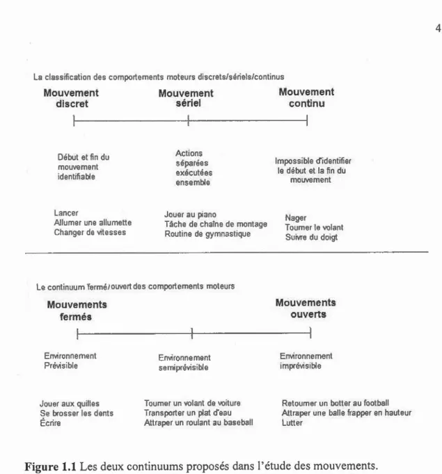 Figure 1.1  L es  deux  continuums proposés  dans  l'étud e des  mouve ments. 