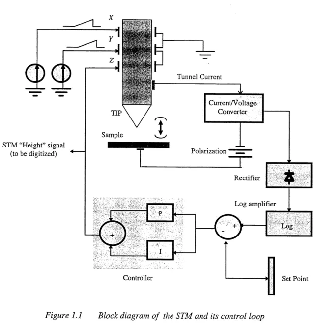 Figure 1.1 Block diagram of the STM and its control loop