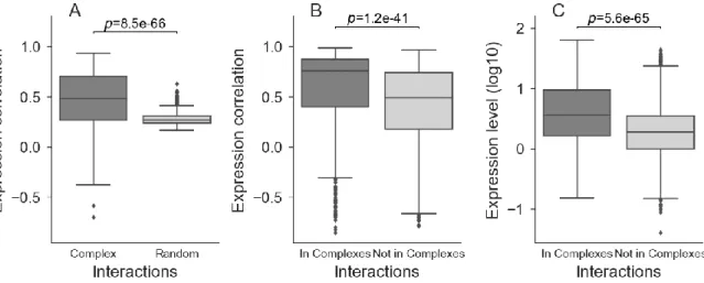 Fig. 1. Expression evidence for inferred protein complexes. (A) Proteins within inferred protein complexes  (n=839, complexes with missing expression values removed) are more correlated in expression than within  random groups of ohnologons (n=853)