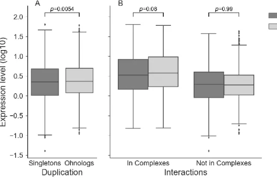 Fig. 2. Expression of singletons and ohnologs is correlated with complex membership. Singletons  (n=1262) display slightly lower expression than ohnologs (n=2486) in general (A), but when controlling for  complex membership (B), the difference in their exp