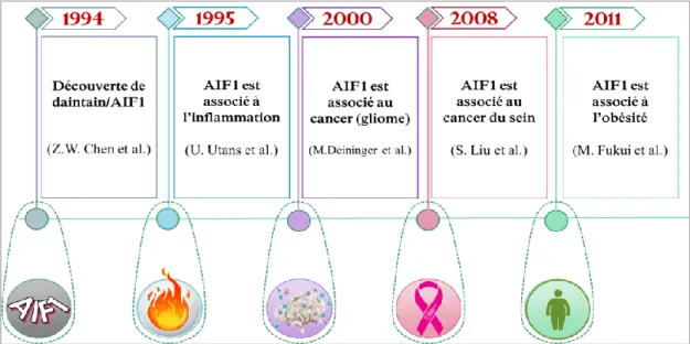 Figure 9. Représentation chronologique des découvertes scientifiques majeures sur AIF1