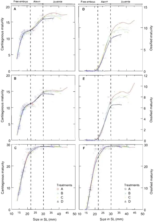 Figure  2.2  Comparisons  of  cartilaginous  (CM)  and  ossified  maturity  (OM)  trajectories  among  four  water  velocity  treatments  in  Arctic  charr  (S