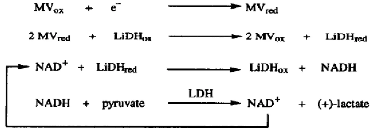 Figure 1.14. The electrochemical regeneration of NADH in the presence of a  mediator and LiDH