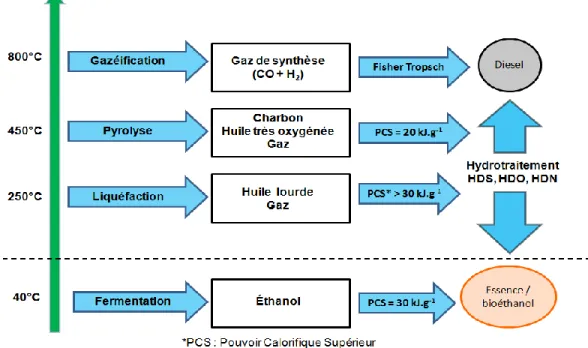 Figure 2 Procédés de production de biocarburants 