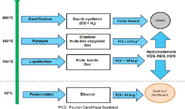 Figure 2 Procédés de production de biocarburants 
