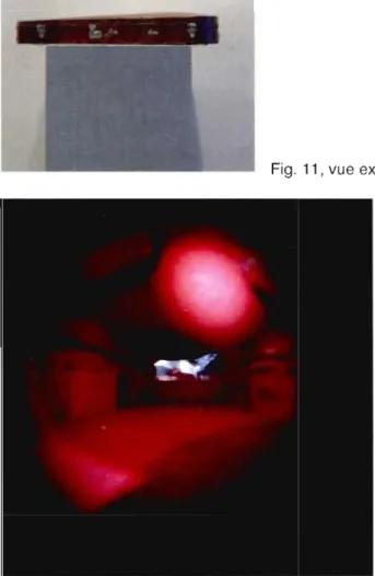 Fig.  11, vue  extérieure  de  l'œuvre W  6. 