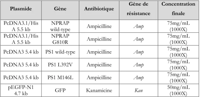 Tableau 2  : Liste des antibiotiques pour la préparation des cultures bactériennes  Plasmide  Gène  Antibiotique  Gène de 
