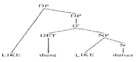 Figure 2.4  La position structurale de LIKE dans  le  DP et dans  le NP 