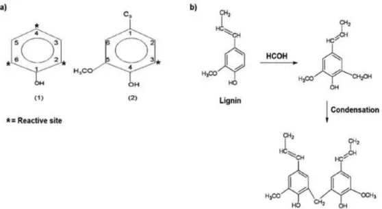 Figure 7 : a) Structure d'un phénol avec ses trois sites réactifs 2-4-6 et structure d’une  lignine avec un site réactif 3, b) Réticulation entre une lignine et du formaldéhyde 