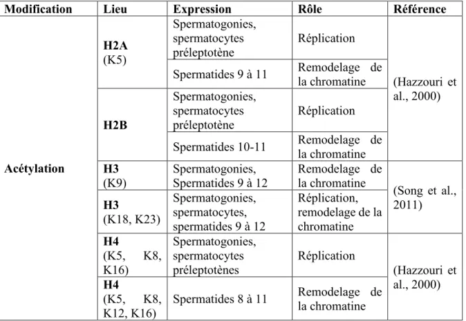 Tableau 1 : Synthèse des variants d’histones présents lors de la spermatogenèse 