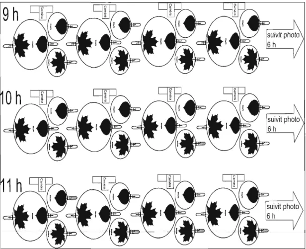 Figure 2.2 - Montage des différents réplicats  pour la  prise des vidéos et des  photos