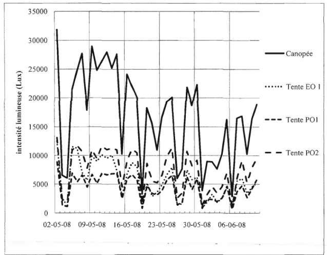 Figure  2.3  - Intensités  lumineuses  (en  lux)  mesurées  par  les  stations  météos  Habas  sous les tentes et au-dessus de  la  canopée du  02-05-08  au  11-06-08