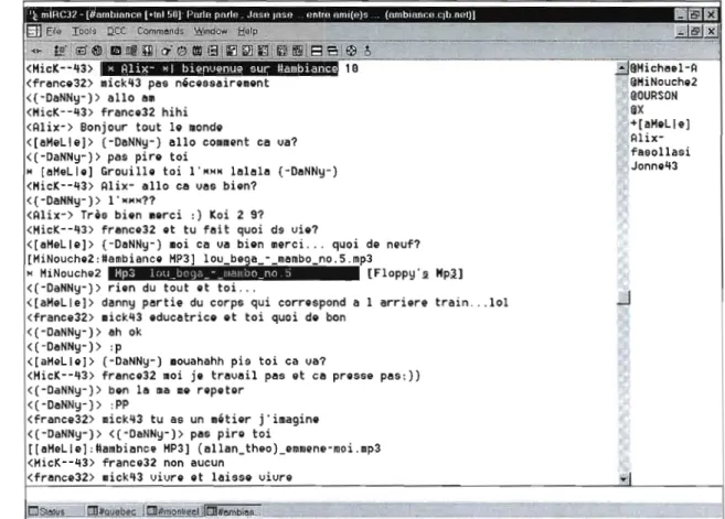 Figure  1.1  Fenêtre de  discussiop publique dans l'interface du  logiciel mIRe. 