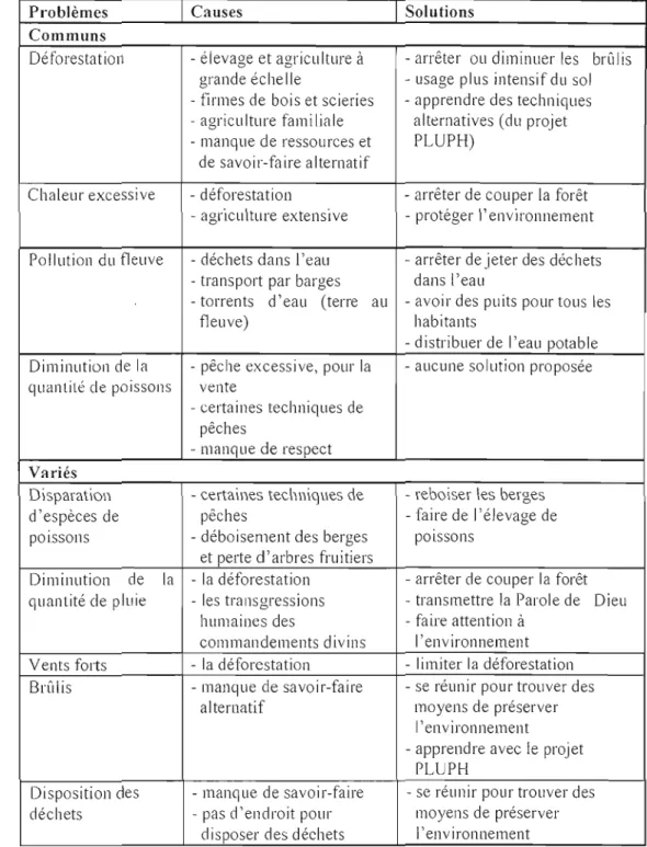 Tableau 4.2  : Représentations des problématiques de l'environnement 