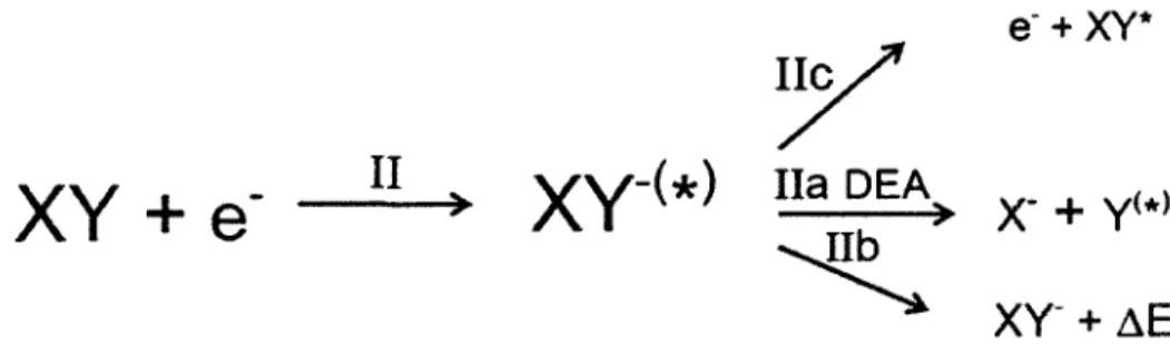 Figure 3  (reprinted  from  Sanche,  2002).  Pathway &#34;Il&#34; when  an electron interacts  with a molecule XY