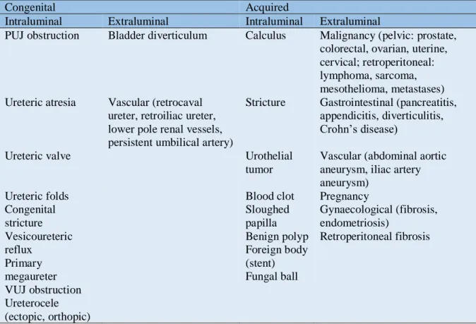 Table 2 Etiology of obstructive uropathy [4]. 
