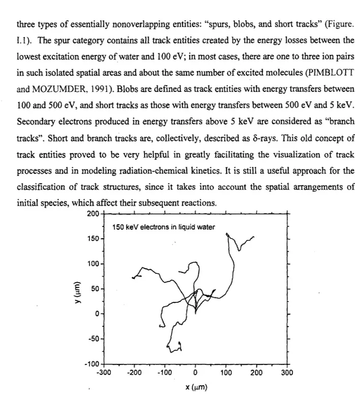 Figure 1.2  Simulated  tracks  (projected  into  the  XY  plane  of figure)  of five  150-ke V  electrons  in water,  showing the  stochastic  nature  of paths