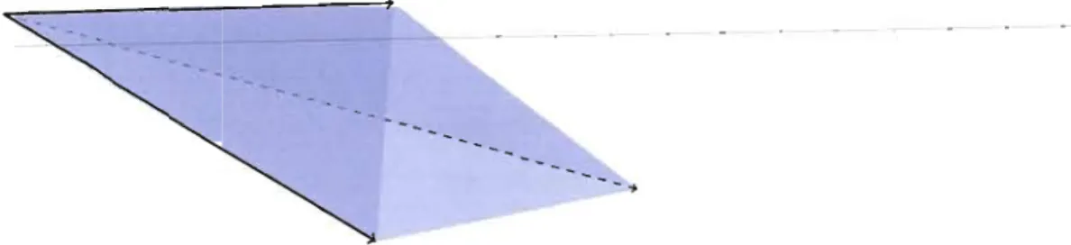 FIGURE  2.1  Cône polyédral: on a représenté dans l'espace un cône polyédral. 