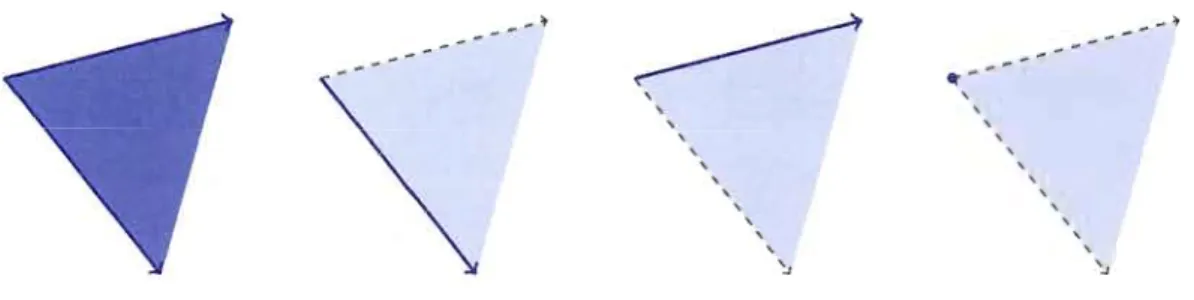 FIGURE  2.3  Certaines faces du cône polyédral: on a représenté en bleu quatre faces du  cône polyédral précédent