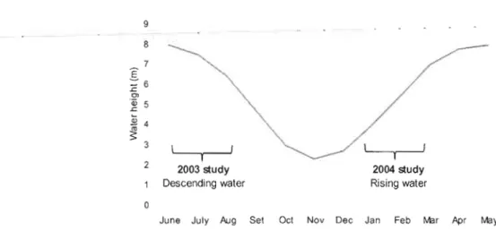 Figure  16  : Schema of the  annual Lower Tapaj6s River hydrologic cycle and  the  traditionally associated seasons 