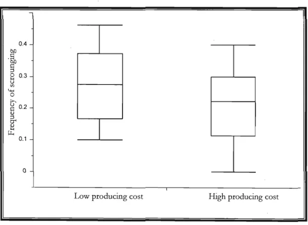 Figure 3.  Effect of producing  cost  on  the frequency of scrounging in  2009,  (ANOVA  F&#34;  38=3.5;  p=0.068)