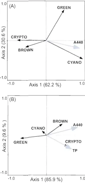 Fig.  1.4.  Ordination  biplots  for  the  redundancy  analysis  of  the  (A)  depth  of  maximum  biomass  and  the  (B)  coefficient of variation  of the  biomass  from  the  different  phytoplankton  groups  and  envirolUl1ental  variables  for  ail  st
