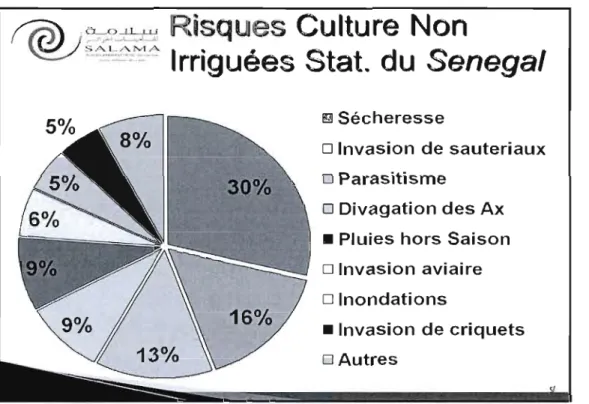 Tableau 2-4  : exemples de risques couverts par l'assurance agricole 