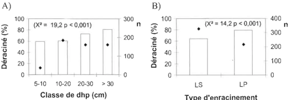 Figure 5  : Pourcentage d'arbres  morts  ayant déraciné  (vs  cassé)  en  fonction  A)  de  la  classe  de  dhp  B)  du  type  d'enracinement  (LS  =  Latérale  superficiel;  LP  =  latérale  profonde)