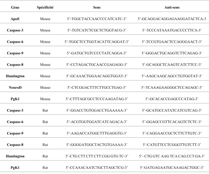 Tableau 2. Amorce sens et antisens utilisés pour cet étude 