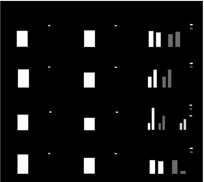 Figure  8.  Diminution  des  niveaux  expressions  en  ARNm,  mais  augmentation  des  niveaux  d'expressions  protéiques  de  caspases  dans  le  BO  de  souris  YAC128  présymptomatique