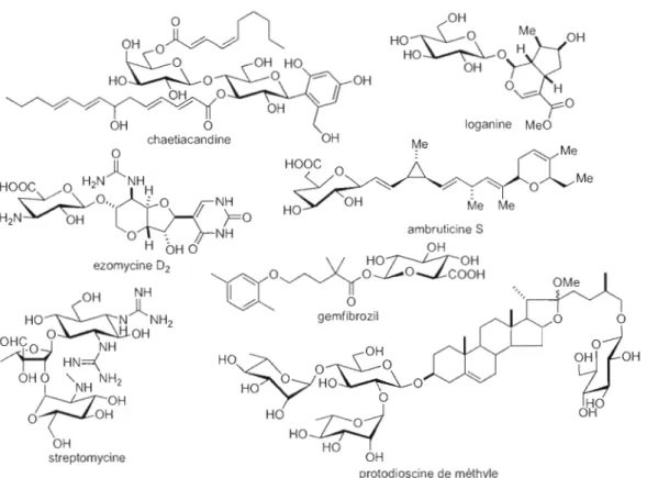 Figure  1.2  Plusieurs exemples de  produits  naturels glycosylés 