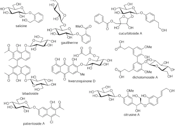 Figure  1.1  Plusieurs exemples de  glycosides d'aryles  naturels 