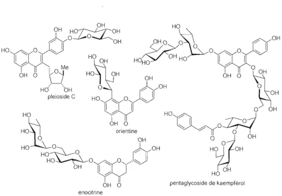 Figure  1.2  Plusieurs exemples de glycosides de tlavonoïdes et de tlavonols 