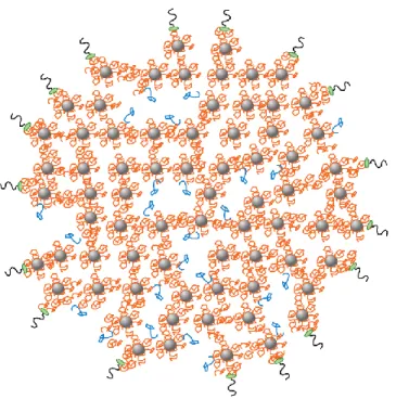 Figure 2-1: Vue schématique de la structure des micelles de caséine. 