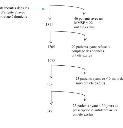 Figure 4 : Échantillon analytique 