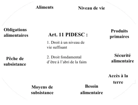 Figure 1. Environnement notionnel externe à l’art. 11 du PIDESC 