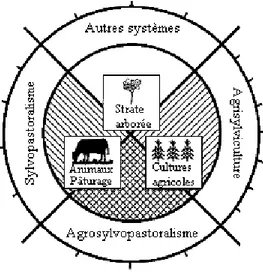 Figure 1.2  Systèmes agroforestiers classifiés selon la nature de leurs composantes  Source : Nair, P.K.R