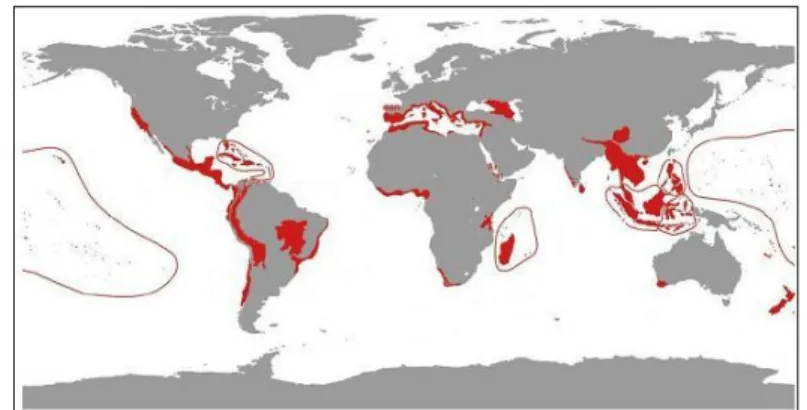 Figure 3.4  Les zones les plus riches en biodiversité au niveau mondial  Source : Myers, N