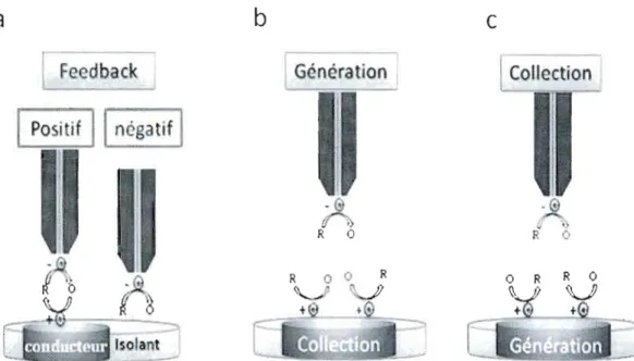 Figure 4.  Schéma représentative des  principaux modes de  la SECM.  (a)  mode  feedback,  (b)  TG/SC  et (c)  SG/TC 