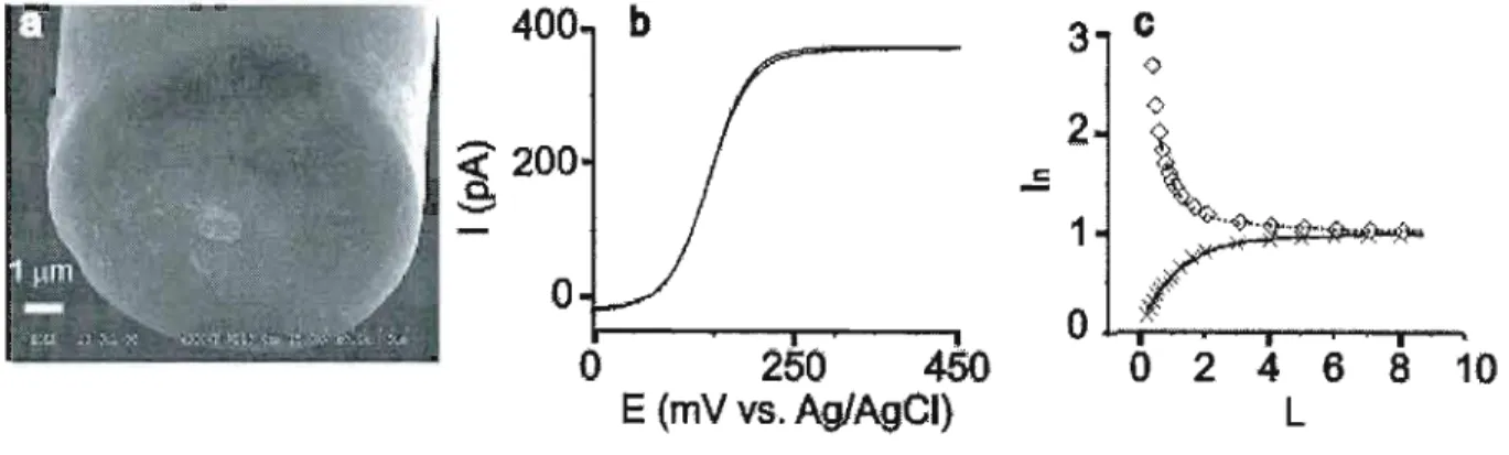 Figure  3.  (a)  SEM  image of a  1.5  /lm  Pt-disk microelectrode.  Electrochemical  measurements were done  in  1 mM  ferrocenemethanol solution and  0.1  M KCl  solution