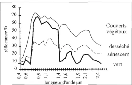 Figure  2.2 Exemples de réflectance pour une feuille  verte et malade. 