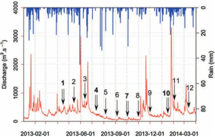 Fig. 2. Water discharge (red) and rain (blue) in the study area. Arrows and num- num-bers indicate sampling periods (simple arrows for regular sampling campaigns and double arrows with bold numbers for full campaigns)