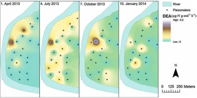 Fig. 5. Maps of interpolated (IDW) denitrifying enzyme activity (DEA) for the four full campaigns.
